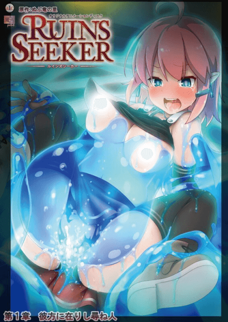 Cover of Ruins Seeker